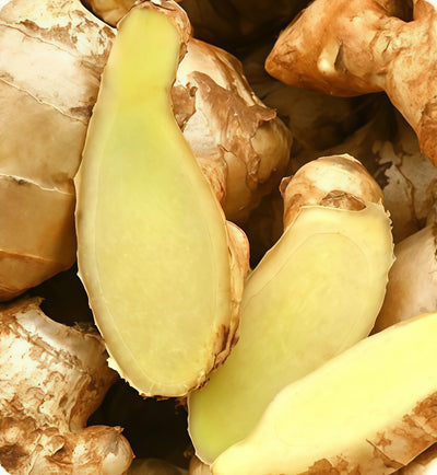 Ginger Root