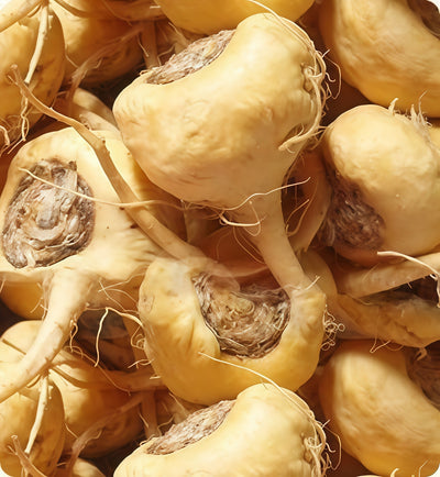 Maca Root